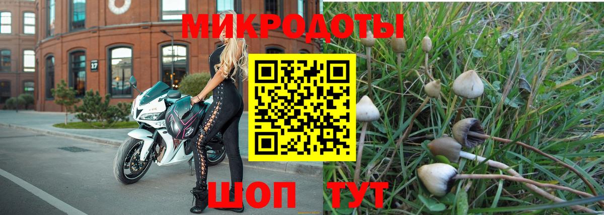 Псилоцибиновые грибы ЛСД Елабуга