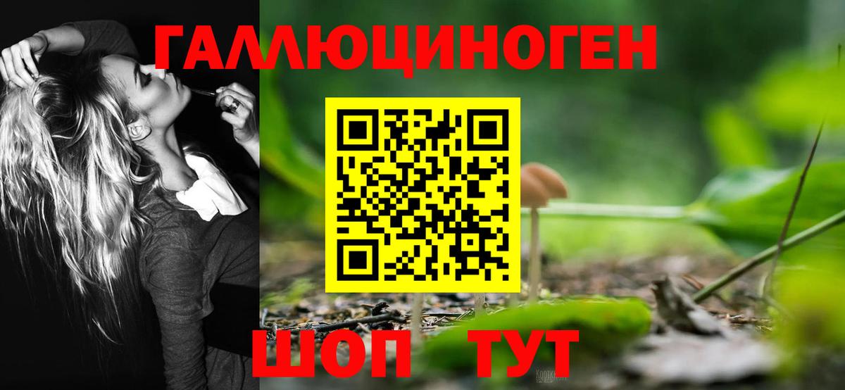 Псилоцибиновые грибы Psilocybine cubensis  Галлюциногенные грибы мицелий  Вход с VPN  Елабуга 